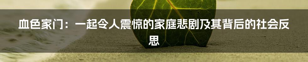 血色家门:一起令人震惊的家庭悲剧及其背后的社会反思