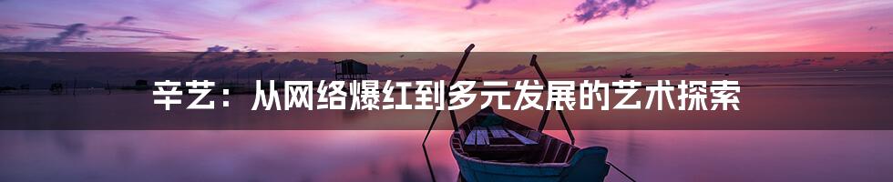 辛艺:从网络爆红到多元发展的艺术探索