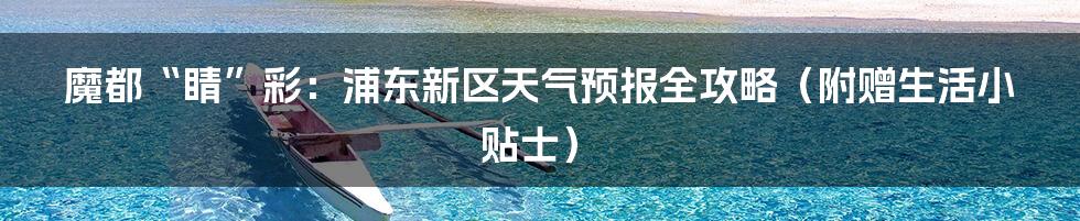 魔都“睛”彩:浦东新区天气预报全攻略(附赠生活小贴士)
