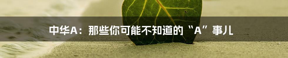 中华A:那些你可能不知道的“A”事儿