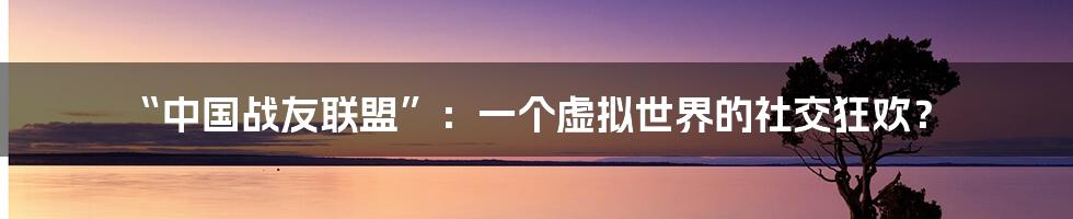 “中国战友联盟”：一个虚拟世界的社交狂欢？