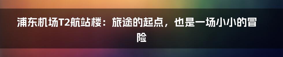 浦东机场T2航站楼：旅途的起点，也是一场小小的冒险
