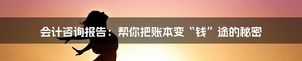 会计咨询报告：帮你把账本变“钱”途的秘密