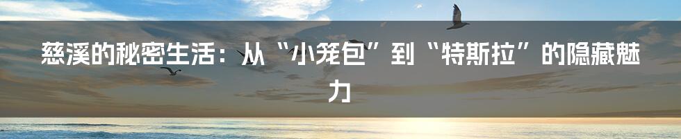慈溪的秘密生活：从“小笼包”到“特斯拉”的隐藏魅力