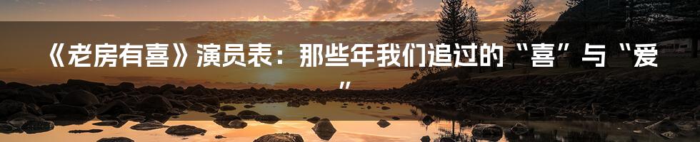 《老房有喜》演员表:那些年我们追过的“喜”与“爱”