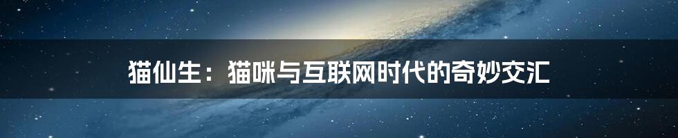 猫仙生：猫咪与互联网时代的奇妙交汇