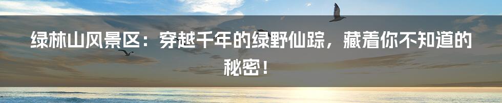 绿林山风景区:穿越千年的绿野仙踪,藏着你不知道的秘密!
