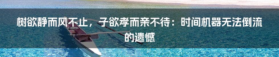 树欲静而风不止,子欲孝而亲不待:时间机器无法倒流的遗憾
