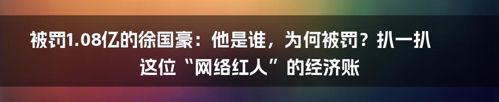 被罚1.08亿的徐国豪：他是谁，为何被罚？扒一扒这位“网络红人”的经济账