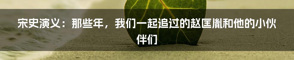 宋史演义:那些年,我们一起追过的赵匡胤和他的小伙伴们