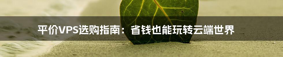 平价VPS选购指南：省钱也能玩转云端世界