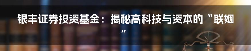 银丰证券投资基金：揭秘高科技与资本的“联姻”