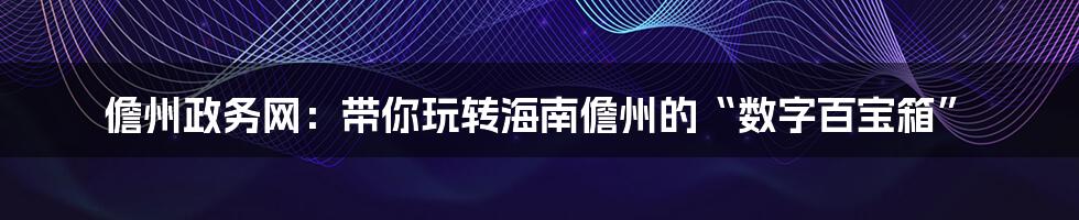 儋州政务网:带你玩转海南儋州的“数字百宝箱”