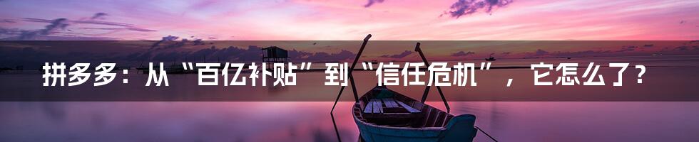 拼多多：从“百亿补贴”到“信任危机”，它怎么了？