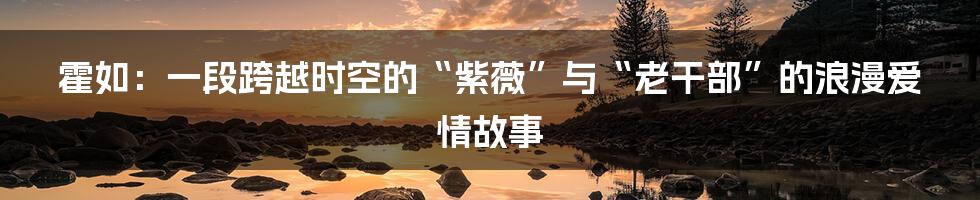 霍如：一段跨越时空的“紫薇”与“老干部”的浪漫爱情故事