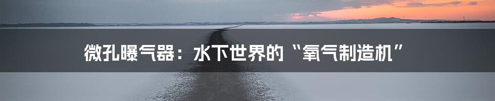 微孔曝气器:水下世界的“氧气制造机”