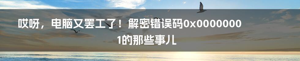 哎呀，电脑又罢工了！解密错误码0x00000001的那些事儿
