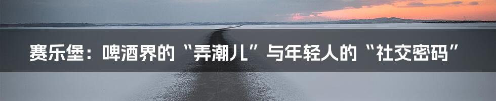 赛乐堡:啤酒界的“弄潮儿”与年轻人的“社交密码”