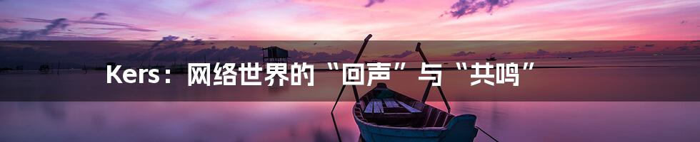 Kers:网络世界的“回声”与“共鸣”