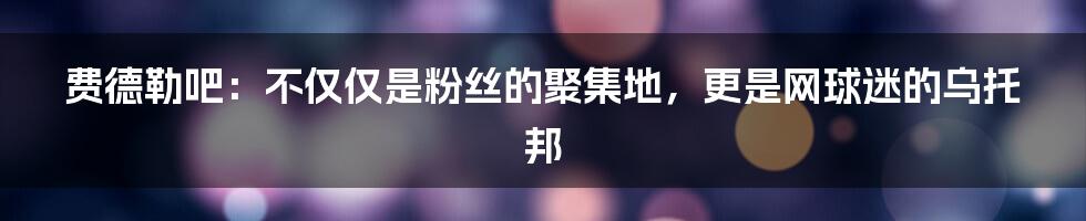 费德勒吧:不仅仅是粉丝的聚集地,更是网球迷的乌托邦