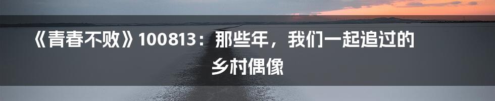 《青春不败》100813:那些年,我们一起追过的乡村偶像