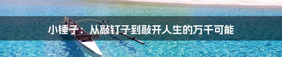 小锤子：从敲钉子到敲开人生的万千可能