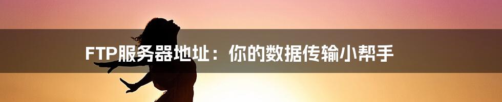 FTP服务器地址：你的数据传输小帮手