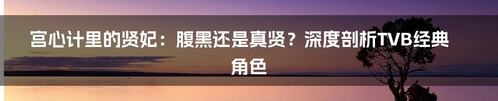 宫心计里的贤妃：腹黑还是真贤？深度剖析TVB经典角色