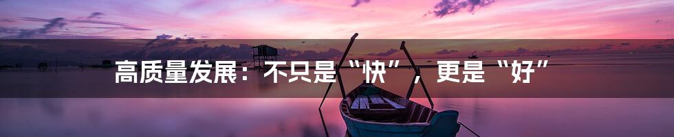 高质量发展：不只是“快”，更是“好”