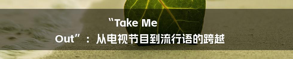 “Take Me Out”：从电视节目到流行语的跨越