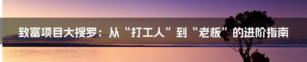 致富项目大搜罗:从“打工人”到“老板”的进阶指南