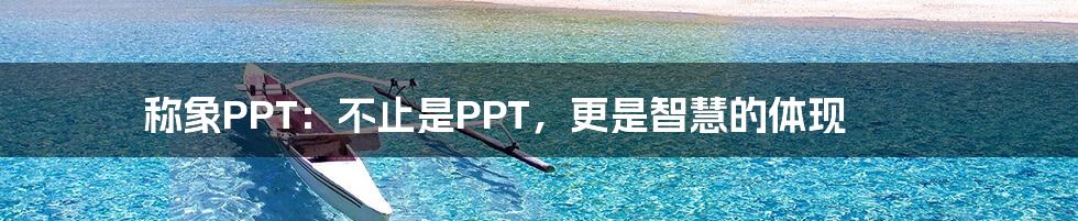 称象PPT:不止是PPT,更是智慧的体现
