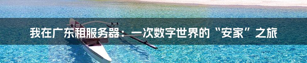我在广东租服务器：一次数字世界的“安家”之旅