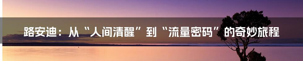 路安迪：从“人间清醒”到“流量密码”的奇妙旅程