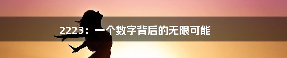 2223：一个数字背后的无限可能