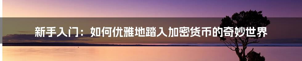 新手入门:如何优雅地踏入加密货币的奇妙世界