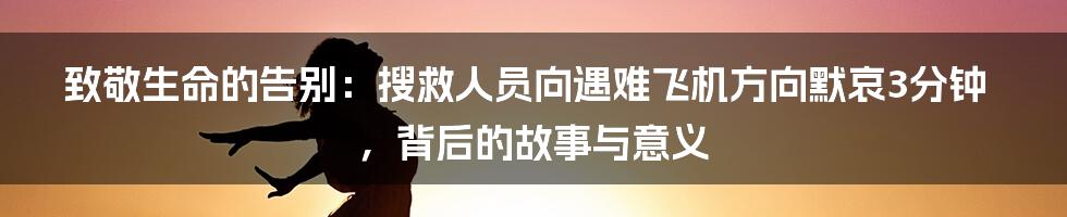 致敬生命的告别：搜救人员向遇难飞机方向默哀3分钟，背后的故事与意义
