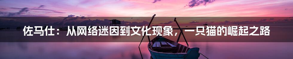 佐马仕:从网络迷因到文化现象,一只猫的崛起之路