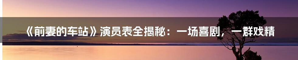 《前妻的车站》演员表全揭秘：一场喜剧，一群戏精