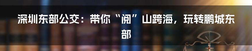 深圳东部公交:带你“阅”山跨海,玩转鹏城东部