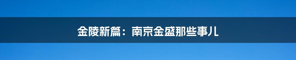 金陵新篇:南京金盛那些事儿