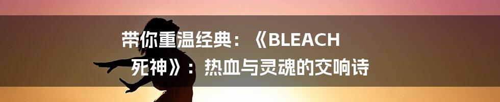 带你重温经典：《BLEACH 死神》：热血与灵魂的交响诗