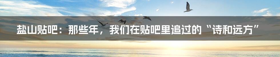 盐山贴吧:那些年,我们在贴吧里追过的“诗和远方”
