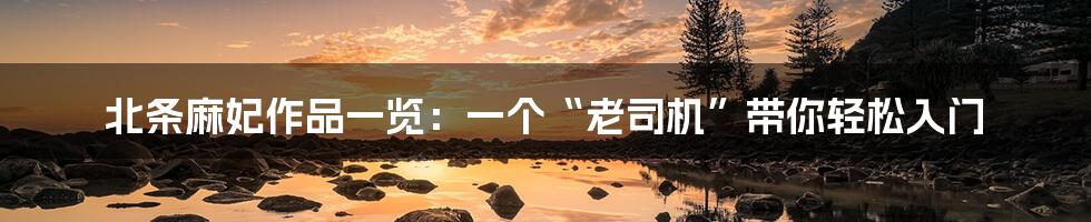 北条麻妃作品一览:一个“老司机”带你轻松入门