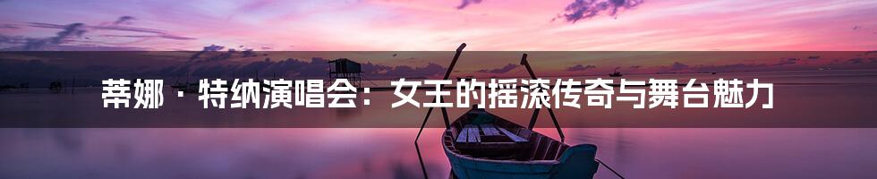 蒂娜·特纳演唱会：女王的摇滚传奇与舞台魅力