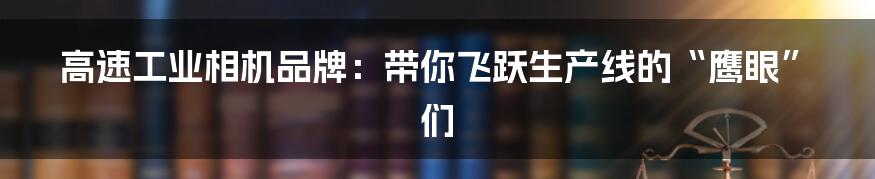 高速工业相机品牌：带你飞跃生产线的“鹰眼”们