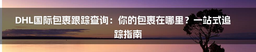 DHL国际包裹跟踪查询：你的包裹在哪里？一站式追踪指南