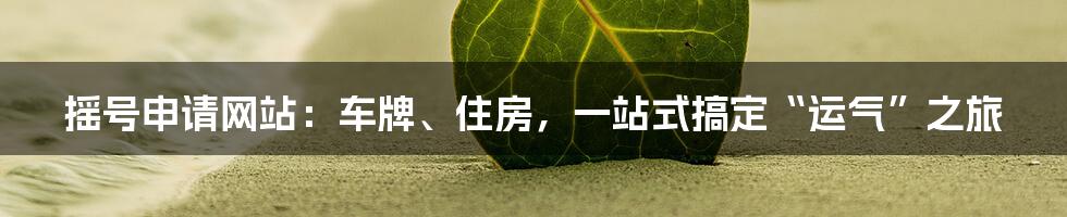 摇号申请网站：车牌、住房，一站式搞定“运气”之旅