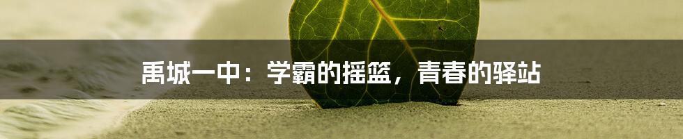 禹城一中:学霸的摇篮,青春的驿站