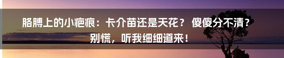 胳膊上的小疤痕：卡介苗还是天花？ 傻傻分不清？ 别慌，听我细细道来！